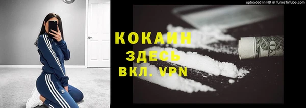 ПСИЛОЦИБИНОВЫЕ ГРИБЫ Новокубанск