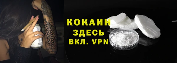 ПСИЛОЦИБИНОВЫЕ ГРИБЫ Новокубанск