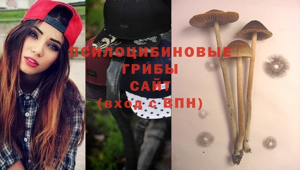 метадон Новодвинск