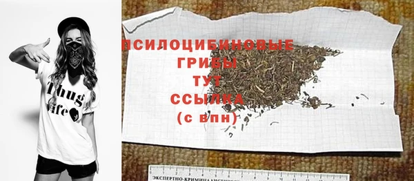метадон Новодвинск