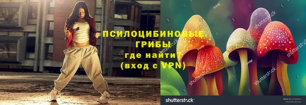 метадон Новодвинск